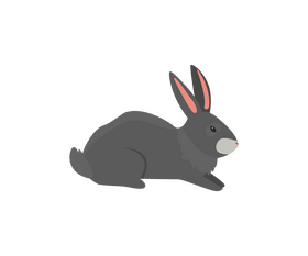 Cartoon hare clipart