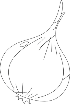 Onion black and white clipart