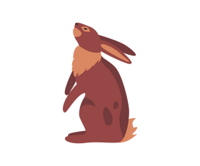 Hare illustration clipart