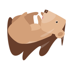 Hedgehog lying clipart