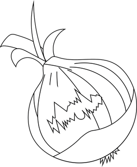 Onion black and white clipart