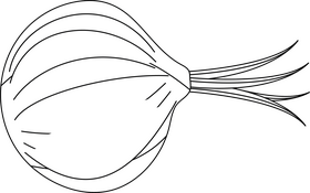 Onion black and white clipart