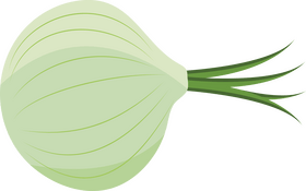 Onion clipart