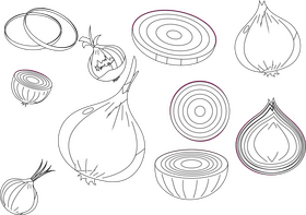 Onion black and white vector