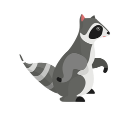 Raccoon clipart