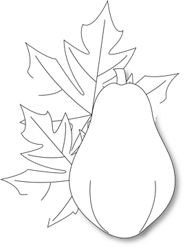 Papaya with Leaves black and white clipart