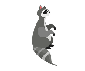 Sitting raccoon clipart