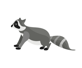 Cartoon raccoon clipart