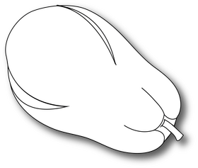 Papaya black and white clipart