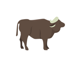 Cartoon buffalo clipart