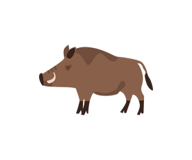 Wild boar clipart
