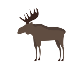 Moose drawing clipart