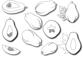 Papaya v black and white clipart