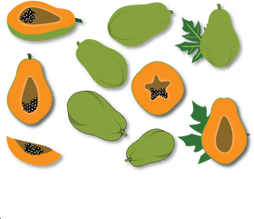 Papaya vector