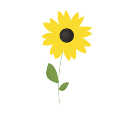 Sunflower clipart