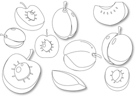 Plum black and white vector