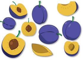 Plum vector