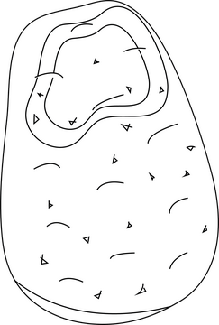 Potato black and white clipart