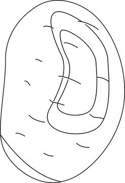 Potato black and white clipart