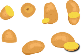Potato vector