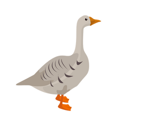 Cartoon goose clipart