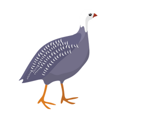 Free goose clipart