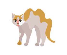 Cute cartoon cat clipart