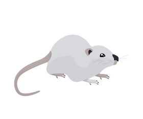 Mouse free clipart