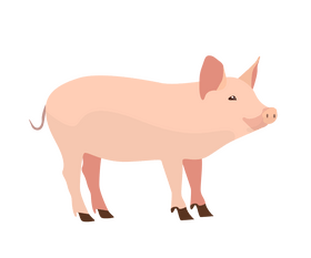 Free pig clipart