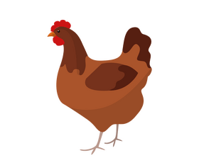 Brown chicken clipart