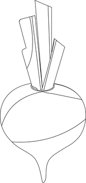 Radish black and white clipart