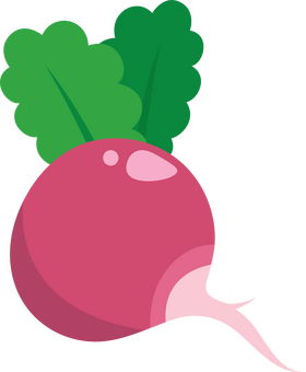 Radish with Leaves clipart