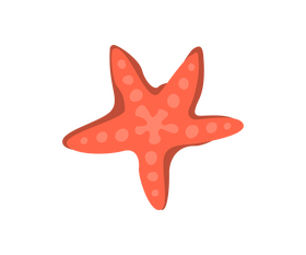 Starfish clipart
