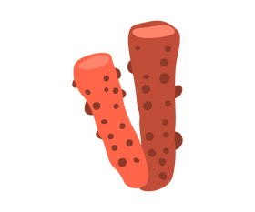 Seaweed free clipart