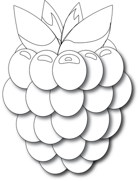 Raspberry black and white clipart