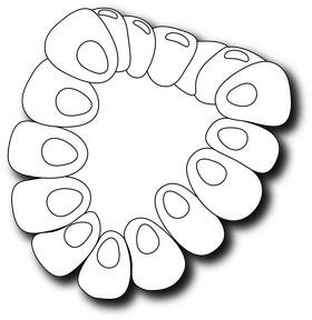 Cut in Half Raspberry black and white clipart