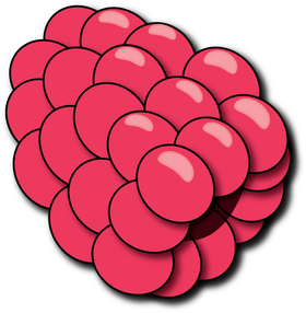 Raspberry clipart