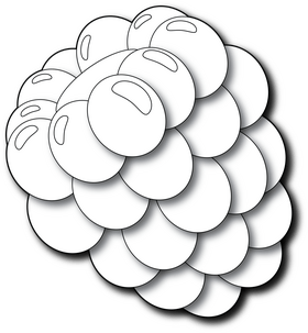 Raspberry black and white clipart