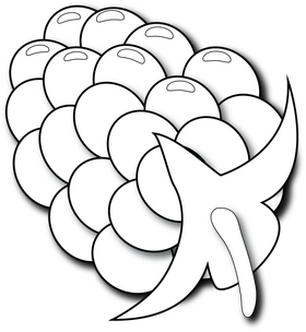 Raspberry black and white clipart