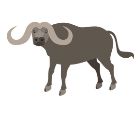 Cartoon buffalo clipart