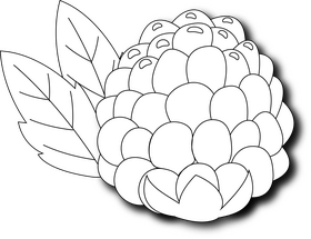 Raspberry black and white clipart