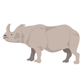 Rhinoceros clipart