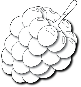 Raspberry black and white clipart