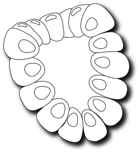 Sliced in Half Raspberry black and white clipart