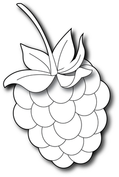 Raspberry black and white clipart