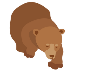 Bear clipart