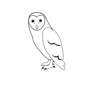 Owl black and white clipart