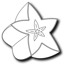 Sliced in Half Starfruit black and white clipart
