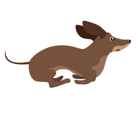 Running dachshund dog illustration clipart