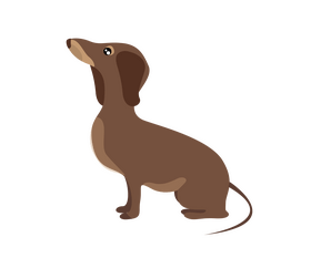 Sitting dachshund drawing clipart